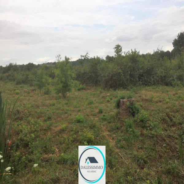 Offres de vente Terrain Allassac 19240