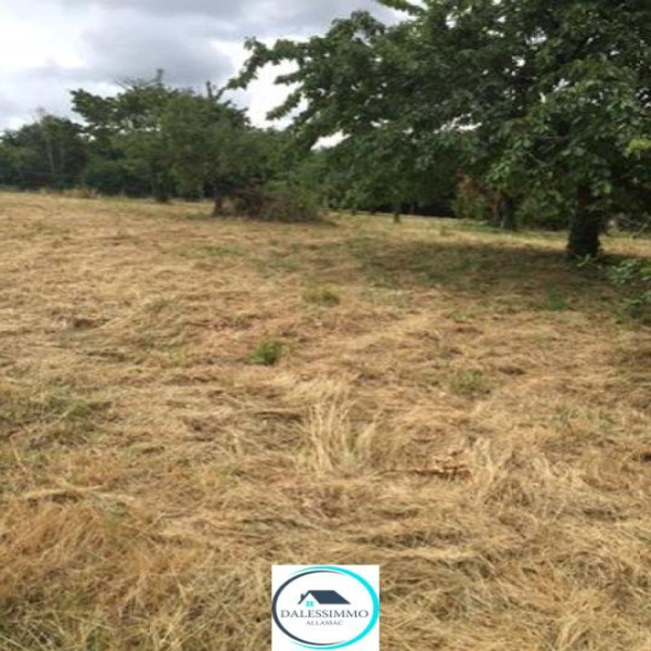 Offres de vente Terrain Allassac 19240